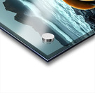 Four Seals On A Rocky Beach Acrylic print