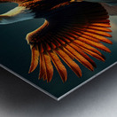 Pyramid Bald Eagle Metal print