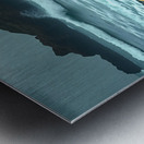 Four Seals On A Rocky Beach Metal print