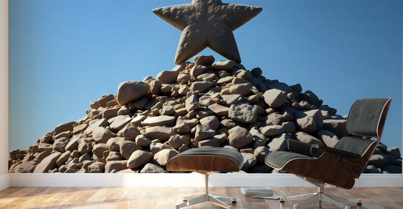 Rock Star Wall Murals