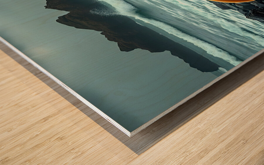 Four Seals On A Rocky Beach Wood print