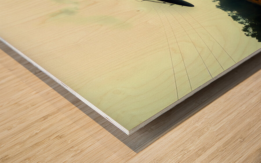 Hitchhiking Alien Wood print